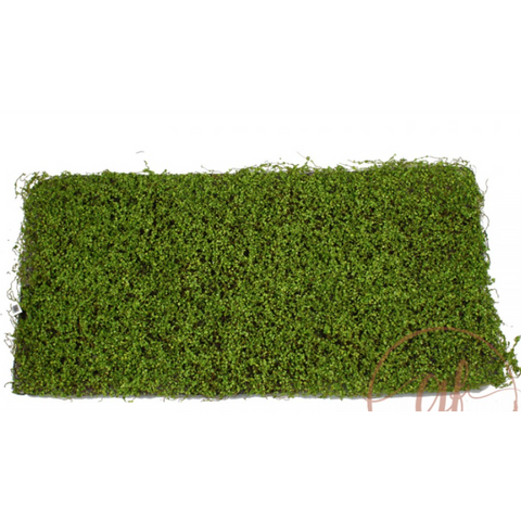 Boxwood Mat 50 x 100cm - Artificial Plant