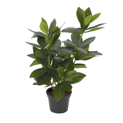 Mini Bay Leaf Potted Plant- Artificial Plant